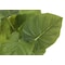 Monarch Specialties Artificial Plant, 13" Tall, Epipremnum, Indoor, Faux, Fake, Table, Greenery, Potted, Set Of 2 I 9583 - alternate 3